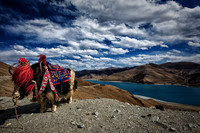 TIBET